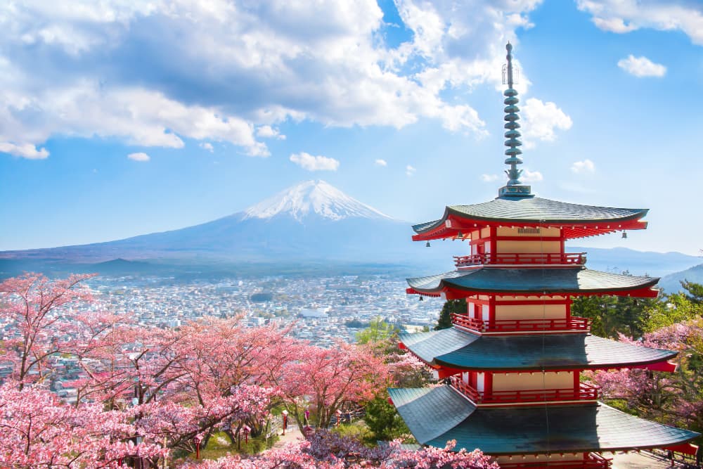 Study in Japan