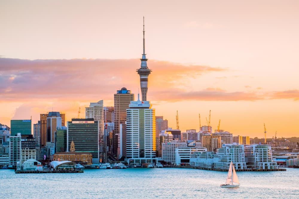 Study in New Zealand